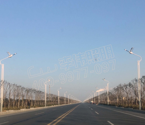 S329 street light renovation project in Sheyang County, Jiangsu Province